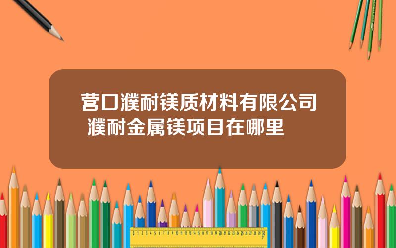 营口濮耐镁质材料有限公司 濮耐金属镁项目在哪里